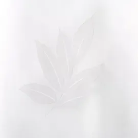 KLEINE WOLKE Duschvorhang Canton 180 x 200 cm weiß