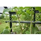 Juliana integriertes Regal für Gewächshäuser Burford und Blockley 814 - 11,3 m2