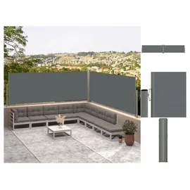 vidaXL Seitenmarkise Ausziehbar Anthrazit 117x600 cm