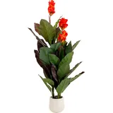 Kare Deko Pflanze Canna Lily", 165cm
