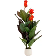 Kare Deko Pflanze Canna Lily", 165cm