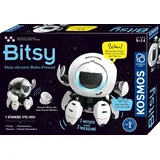 Kosmos Bitsy