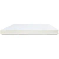 Dibapur® Alanpur Schaumstoffplatte Polster Auflage Schaumstoff 40 x 200