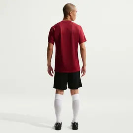 Nike Dri-Fit Park VIII Herren Trikot rot - US: L