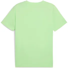 Puma Essentials No. 1 Logo T-Shirt Herren 49 spring fern XXL