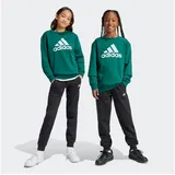 Adidas Kinder Sportanzug Essentials Big Logo Kids, CGREEN, 164