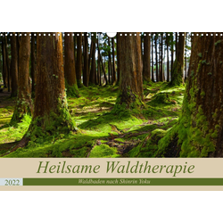 CALVENDO Wandkalender Heilsame Waldtherapie - Waldbaden nach Shinrin Yok 42.0 cm x 1 cm x 29.7 cm