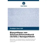 Biosynthese von Silizium/Siliziumdioxid (Si/SiO¿) Nanopartikeln: Reishülsen und Weizenkleie für die Biosynthese von Silizium/Siliziumdioxid (Si/SiO¿) Nanokompositen untersucht