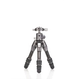 Benro Tortoise (TTOR03CGX25)