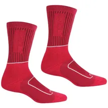 Regatta Samaris 2 Season Socken 2 Paar ChryPink/Weiß 39-42