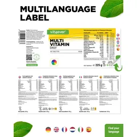 Vit4ever Multivitamin Daily Tabletten 450 St.