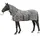 HKM 4669 Fliegendecke Zebra, Halsteil Bauchlatz, Pferdedecke Weidedecke, 95