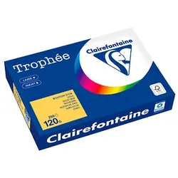 Clairefontaine Kopierpapier Trophée gold gelb DIN A4 120 g/m2 250 Blatt