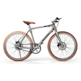 Sharp E-Bike