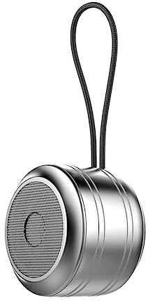 Bluetooth Lautsprecher,Rawrr Tragbarer Outdoor Mini Bluetooth Box, Freisprechfunktion für Phone,Enormer mit Bass-Treibern, Lautsprecher für zuhause draußen Garten,Silber
