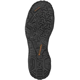 Columbia Peakfreak Herren Shark Valencia 41