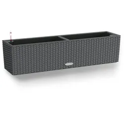 LECHUZA BALCONERA Cottage 80 Outdoor Pflanzgefäß Wand-montiert Polypropylen (PP) Grau