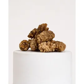 Buxtrade Weie Maulbeeren 5 kg Früchte