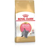Royal Canin Kitten British Shorthair 10 kg