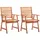 vidaXL Gartenstuhl 56 x 62 x 92 cm braun 2 St.