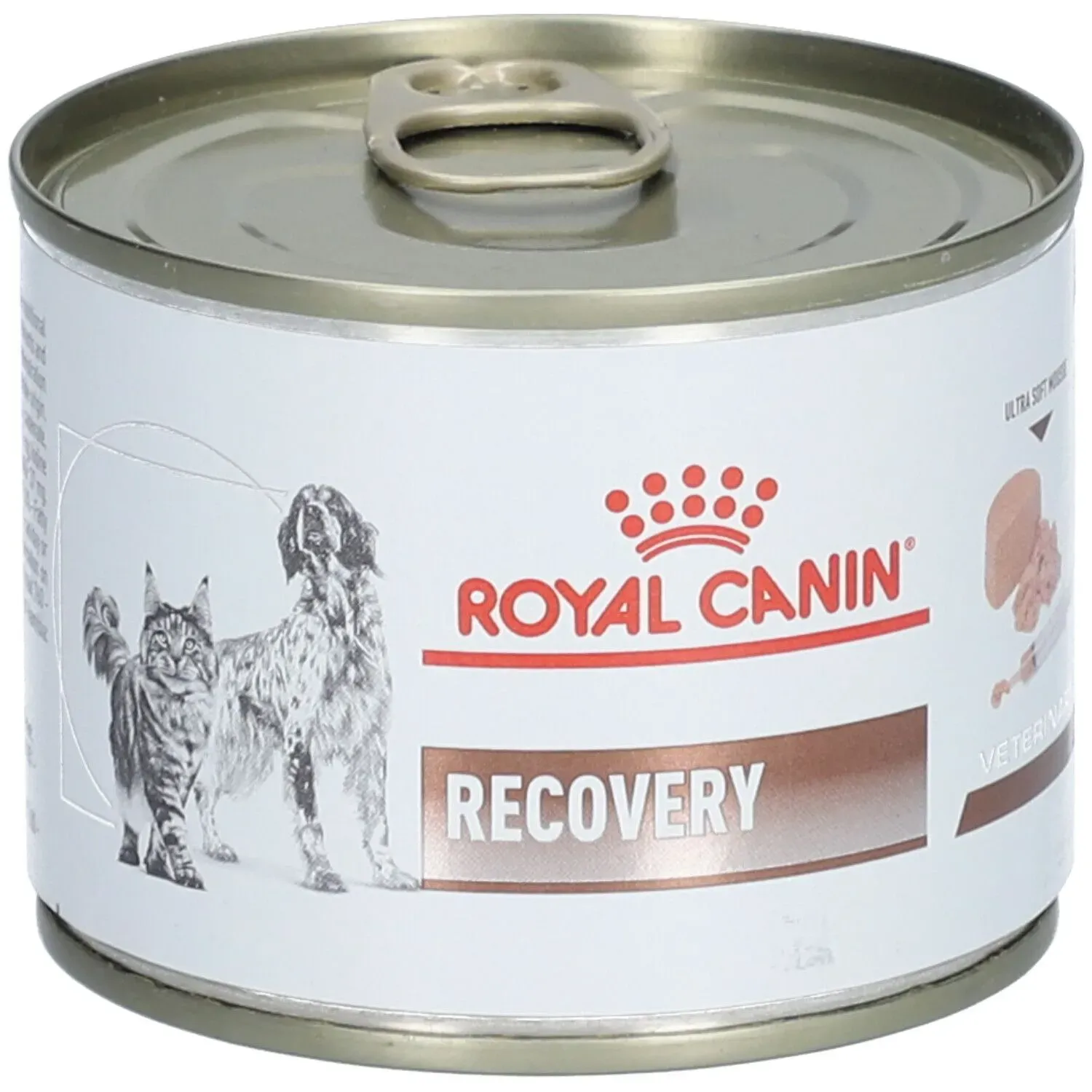 royal canin recovery