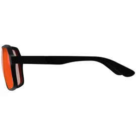 Leatt TheViz Andes Sonnenbrille 14% Schwarz Rot