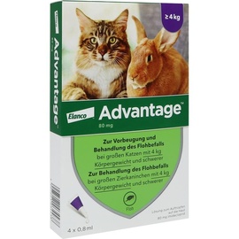 Elanco Advantage 80 für Katzen und Zierkaninchen 4 x 0,8 ml