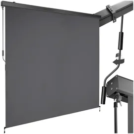 Tectake Senkrechtmarkise 160 x 300 cm Silber Aluminium