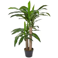 Homescapes - Dracaena Fragrans (Drachenbaum) Kunstpflanze im Topf -