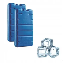 CURVER Ice Pack Reise-Kühlschrank-Einsatz 2 Stk