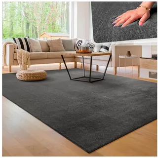 Paco Home Cadiz 630 Kurzflorteppich 300 x 400 cm anthrazit