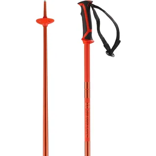 Salomon Stöcke Arctic Unisex Skitouren 120cm