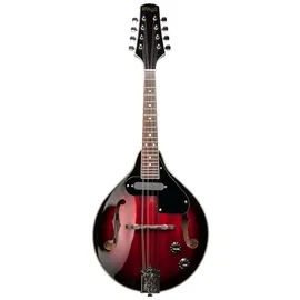 Stagg M50 E Bluegrass Mandoline