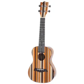 Fame Retrowood Concert Ukulele, Konzert Ukulele, Farbenfrohes Finish, Kraftvoller Klang