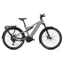 Kalkhoff Entice 7+ Advance 29 Zoll RH 46 cm M Moonstonegrey Matt