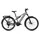 Kalkhoff Entice 7+ Advance 29 Zoll RH 46 cm M Moonstonegrey Matt