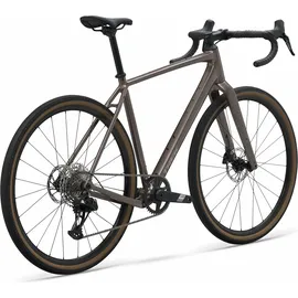 Trek Checkpoint ALR 5 Bronze Age S
