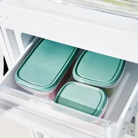 Rotho Frischhaltedose grün 6-teiliges Set