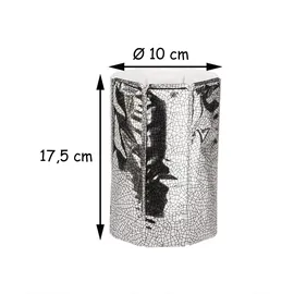 Vacu Vin Rapid Ice Weinkühler silber