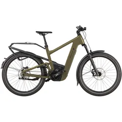 Riese & Müller Delite5 GT Pinion 800 Wh braun - 27,5" - 51 cm