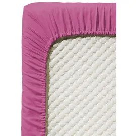 FLEURESSE Jenny C 001115 Single-Jersey 140 x 200 - 160 x 200 cm cassis