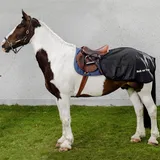 Back on Track Nierendecke