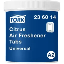 TORK Lufterfrischer Anhänger Apfelduft 20 St.