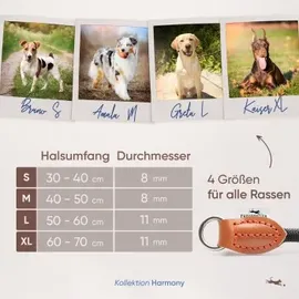 Freudentier Hundehalsband mit Zugstopp - Harmony Kollektion S