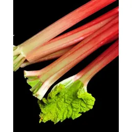 YODEYMA Linet Eau de Parfum 50 ml