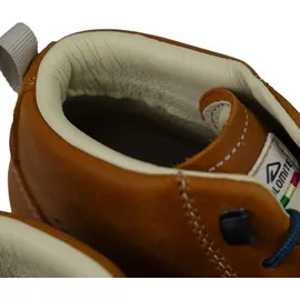 Dolomite Herren 54 Mid FG Evo Schuhe (Größe 43 , braun)