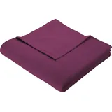 Biederlack Cotton Home