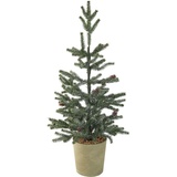Expo-Börse K ̧nstlicher Weihnachtsbaum im Topf 66 cm winterlich mit Tannenzapfen