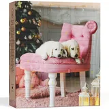 Umbrella Hunde Adventskalender 2025