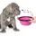 petsation Faltbarer Reisenapf 350Und1000ml